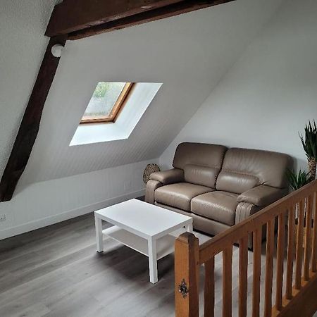 Appartement Avec Vue Sur Loire บลัวส์ ภายนอก รูปภาพ