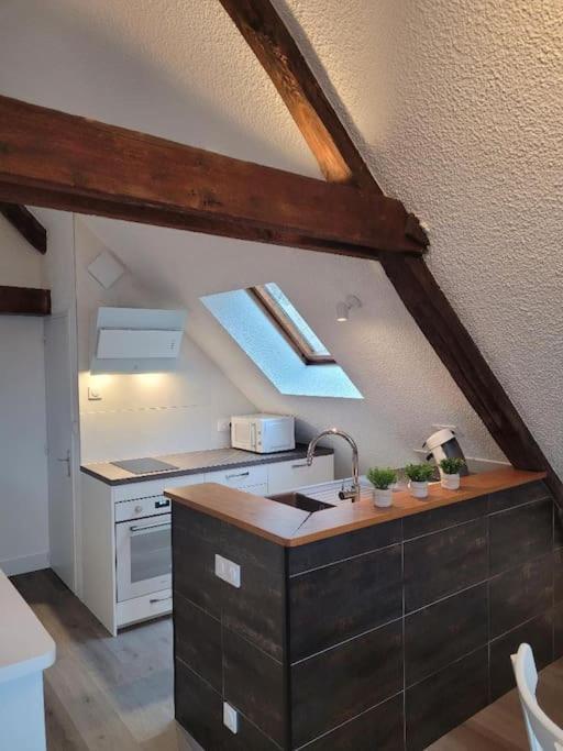 Appartement Avec Vue Sur Loire บลัวส์ ภายนอก รูปภาพ