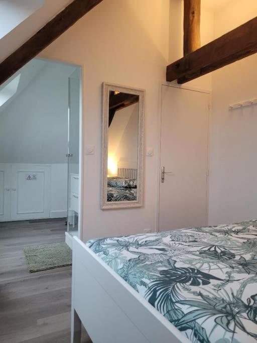 Appartement Avec Vue Sur Loire บลัวส์ ภายนอก รูปภาพ