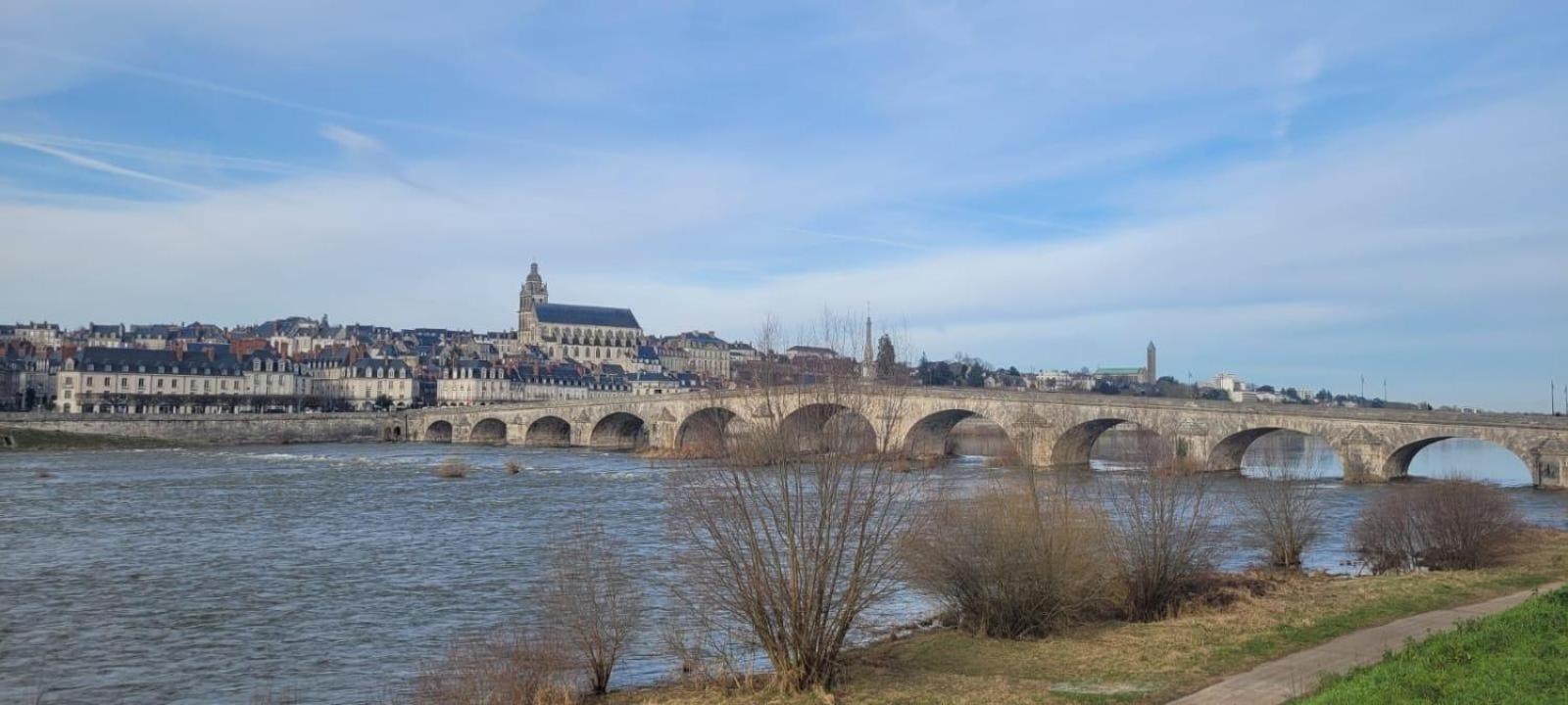 Appartement Avec Vue Sur Loire บลัวส์ ภายนอก รูปภาพ